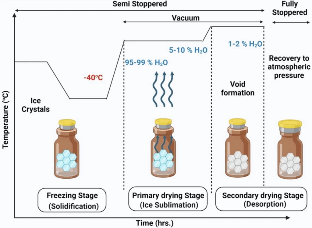 image 4 What is a Lyophilized Peptide?