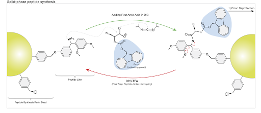 pepsynth Peptide Synthesis